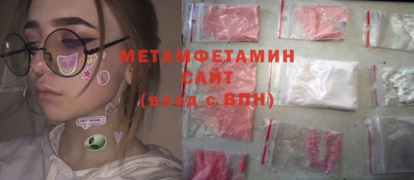 индика Медвежьегорск