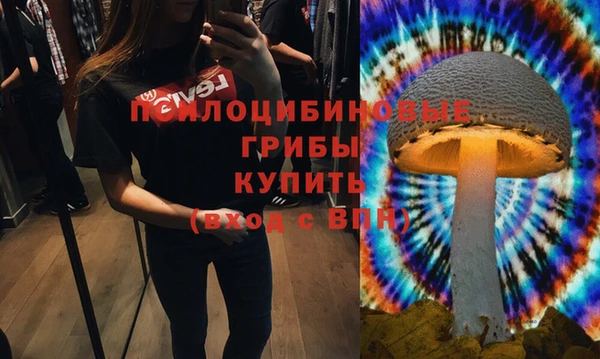 spice Магадан