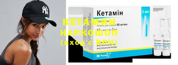 индика Медвежьегорск