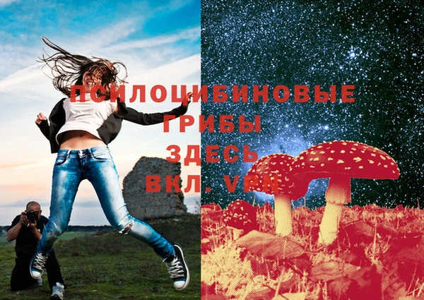 прущая мука Майский