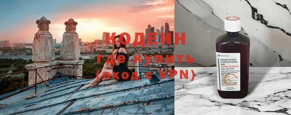 индика Медвежьегорск