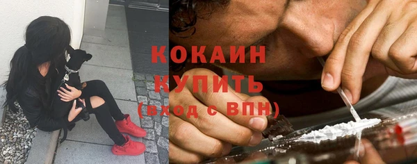 сатива Белая Холуница