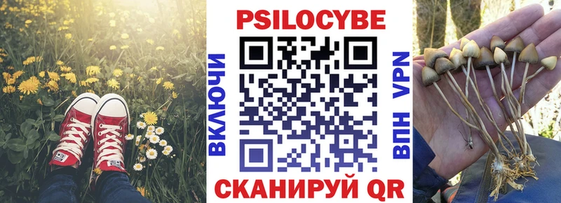 Галлюциногенные грибы мухоморы  магазин продажи наркотиков  МЕГА как войти  Нижний Ломов 